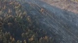 Manisa'daki orman yangını 2'nci gününde devam ediyor