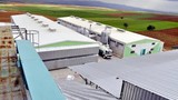 Günde 300 bin yumurta üretimi yapan dev firmaya kayyum atandı
