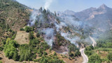 Adana'da ormanlık alanda yangın