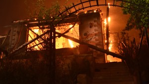 İzmir'de 2 ayrı noktadaki orman yangınının bıraktığı hasar gün aydınlanınca ortaya çıktı