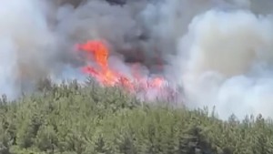 Manisa'da 3 gündür süren orman yangının nedeni belli oldu