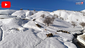 Türkiye'nin gerçek Eskimoları kar kızaklarıyla bembeyaz zirvede iş başında!