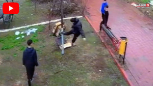 Parkta 4 çocuğun yaptıkları isyan ettirdi! Neden çocuklar, neden ?