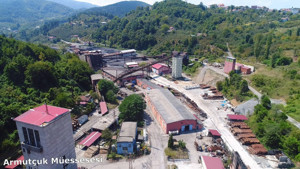 Bakanlığın ''üretim durdurma'' kararına mahkeme ''dur'' dedi