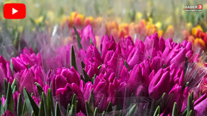 Dünyanın en anlamlı günü için Türkiye'deki ''suda üretim'' kamerada