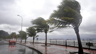 Meteoroloji'den fırtına ve don uyarısı