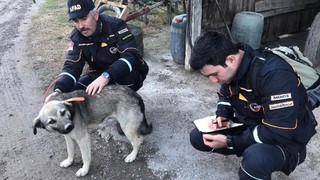 İşaretler verince boynuna takıp saldılar