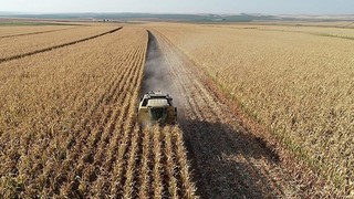 Bakan Pakdemirli bakliyat alım fiyatlarını açıkladı