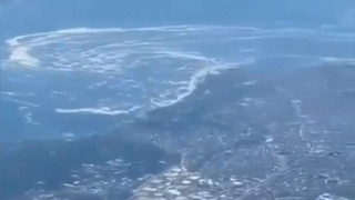 Müsilaj Ege Denizi'ne akmaya başladı