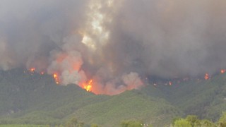 Burası Muğla... Evinin penceresinden bu fotoğrafı çekti ardından ailesini alıp kaçtı...