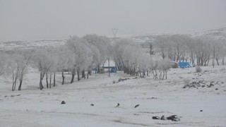 Hava buz kesti! Birçok şehir kar altında