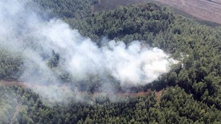 Muğla'da orman yangını