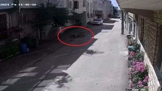 Sokak köpekleri 3 çocuğa kabusu yaşattı