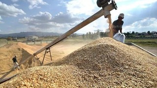 Hububat alım fiyatları ve fark ödemesi destekleri açıklandı