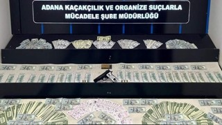 Sahte dolar çetesi yakalandı... Savunmaları ''pes'' dedirtti