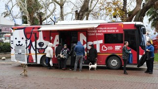 Balıkesir'de sokak hayvanlarına tam teşekküllü sağlık hizmeti