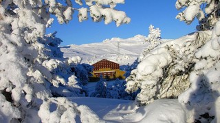 Facianın yaşandığı otelin gecelik fiyatı dudak uçuklattı