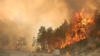 Yeni yılda ormanlarımız yerli alev dedektörüne emanet olacak!