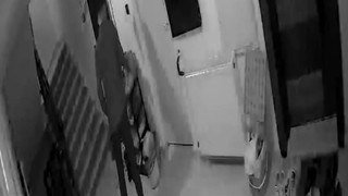 Gündüz keşif yaptı, gece soydu: Bayram hırsızı kamerada