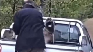 Görüntüler infial yaratmıştı; eli halatlı cani gözaltında!