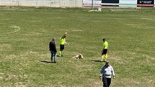 Hakem maç sırasında sahaya giren köpeğe kırmızı kart gösterdi