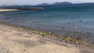 İstanbul kıyılarında korkutan görüntü: Deniz suyu çekildi!