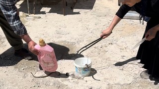 Hobi ya da meslek değil, mecburiyet: Onlar Türkiye'nin ''yılanlara üfleyen'' ailesi!