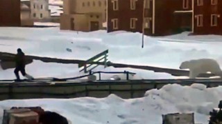 Türklere oturma izni verilen adada kutup ayısı saldırısı kamerada