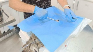 Balıkesir Büyükşehir’in hızlı müdahalesi hayat kurtardı