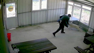 Eli bastonlu caniden 5 aylık yavru köpeğe görülmemiş şiddet kamerada!