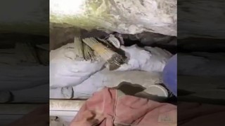 Terör örgütü PKK'ya ''Pençe'' darbesi