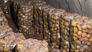 Bize patates diye tam 2 bin 223 ton 150 kiloluk zehir satmışlar!