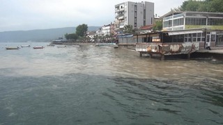 Yaz aylarının mide bulandıran kabusu denizlerimize geri döndü!