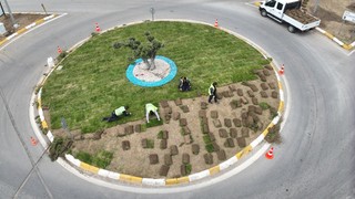 Balıkesir Büyükşehir’den çevreci ve ekonomik hamle: Balıkesir’de belediye kendi çimini üretiyor