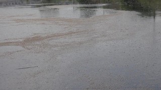 Marmara Denizi'ne kanalizasyon suyu karıştı