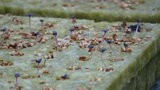 6 yıl önce Amerika'da gördü, Trabzon'da hayata geçirdi