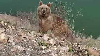 Videosunu çekmek istediği ''koca oğlan'' aklını aldı!