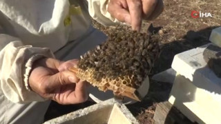 Doktorun annesine ''bal tüket'' tavsiyesiyle hem kendi işinin patronu hem de bal kralı oldu!