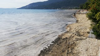 Marmara Denizi'ne kıyısı olan illerde büyük operasyon: 268 işletmenin kapısına kilit vuruldu