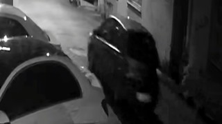 Hırsızlık suçu rekortmeni otomobil faresinden ''yuh'' dedirten savunma!