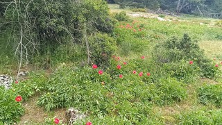 Türkiye'nin koruma altındaki güzellikleri baharla birlikte geri döndü