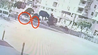 Yaya geçidinde 2 kardeşi öldüren trafik canavarına indirimli ceza iptal edildi