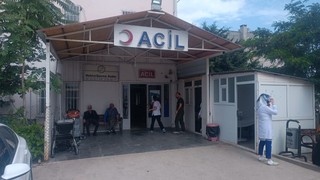 Diyarbakır'da yılan saldırısına uğrayan çoban hayatını kaybetti