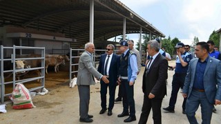 Ankara Büyükşehir Belediyesi'nden kurban satış ve kesim alanlarına denetim