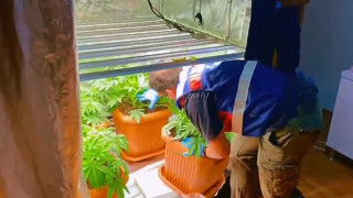 Kurban Bayramı tatili ''torbacıları'' yakalandı: Onlarca şüpheli tutuklandı!