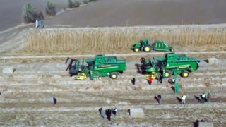 30 milyon dolara kurulan şirket iflasın eşiğinde