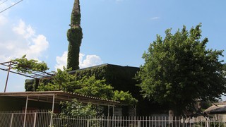 Türkiye'nin ''en doğal yeşil camisi'' Kurban Bayramı'na hazır
