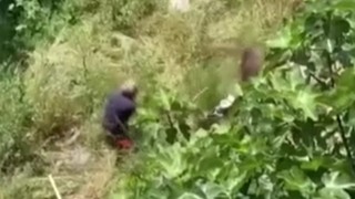 İstanbul'da kaçan kurbanlık hayvana isyan ettiren müdahale!