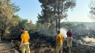 İzmir'deki orman yangınının sebebi ortaya çıktı: 1 kişi tutuklandı