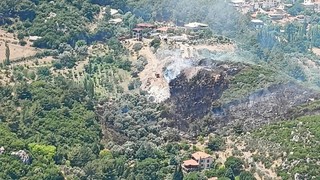İzmir'de orman yangını